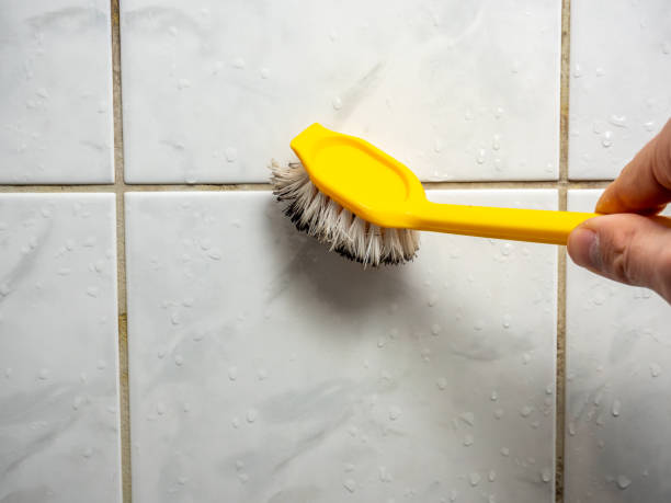 Best Mold Cleaning Services  in Bismarck, MO