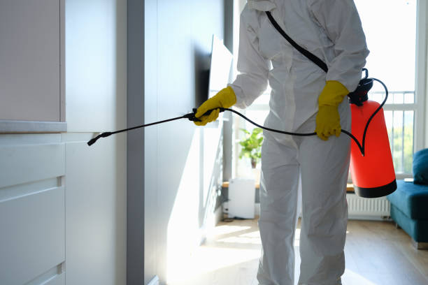 Water Damage Restoration in Bismarck, MO