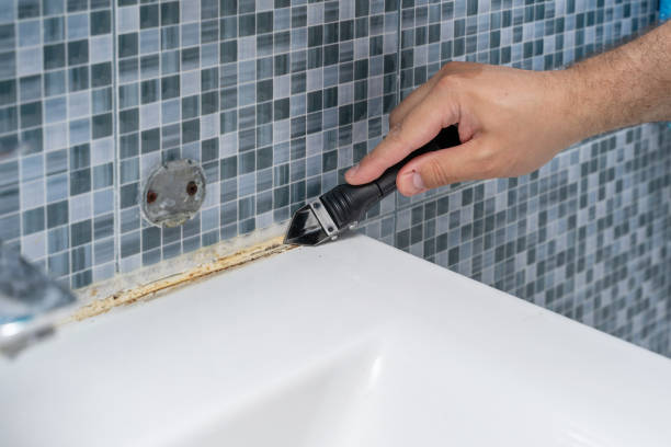 Best Professional Mold Removal  in Bismarck, MO