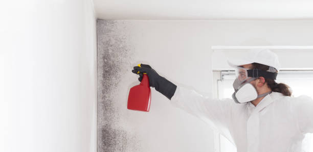 Best Crawl Space Mold Removal  in Bismarck, MO