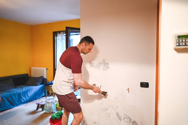 Best Fast Mold Removal  in Bismarck, MO